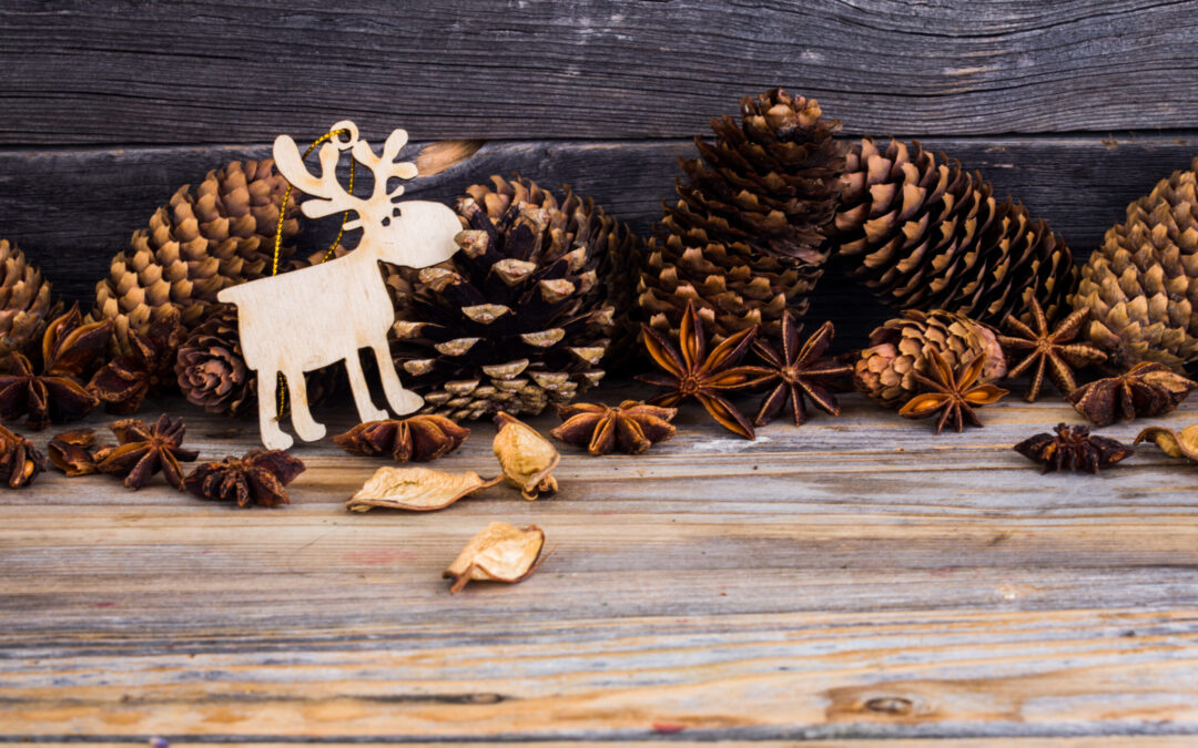 Tipy pro bezpečné prožití Vánoc